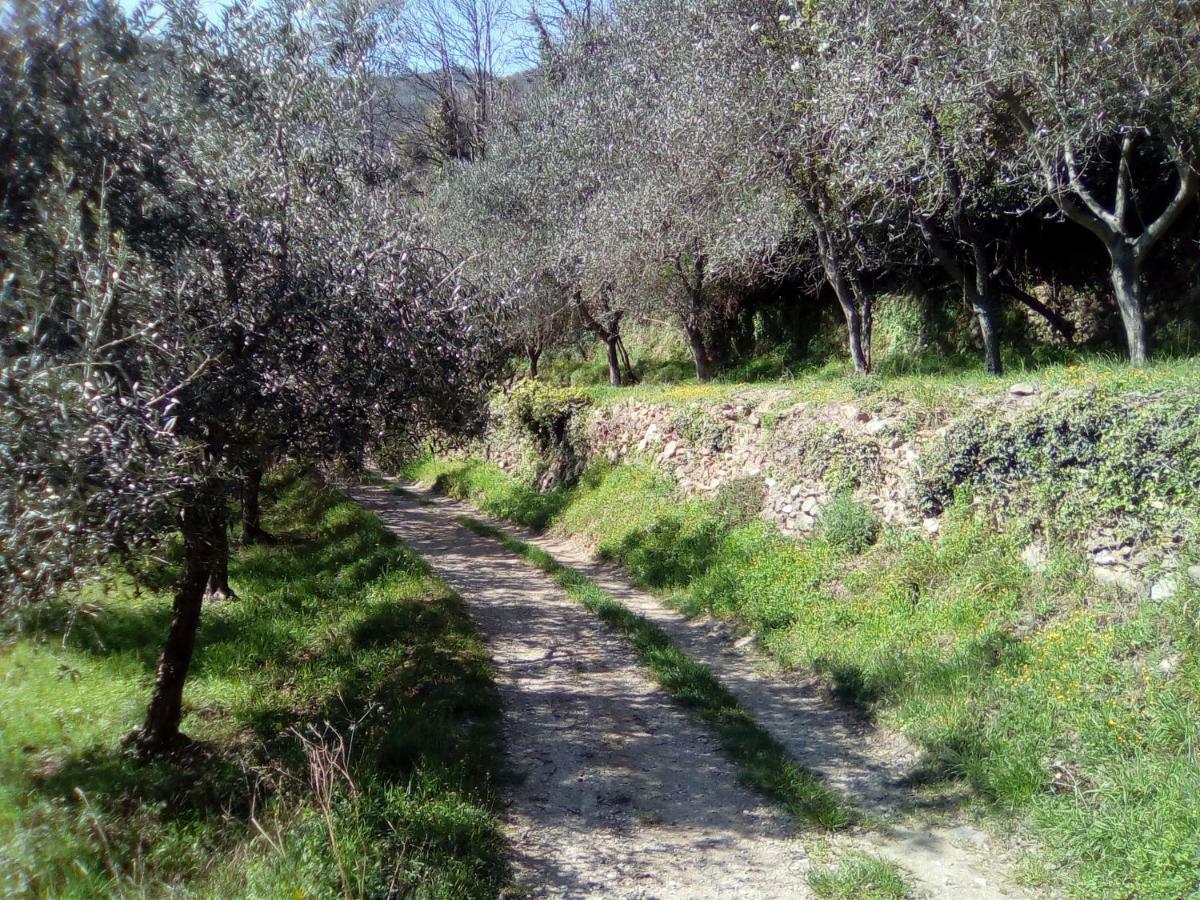 Contrada Casa Vacanze Leilighet Vado Ligure Eksteriør bilde