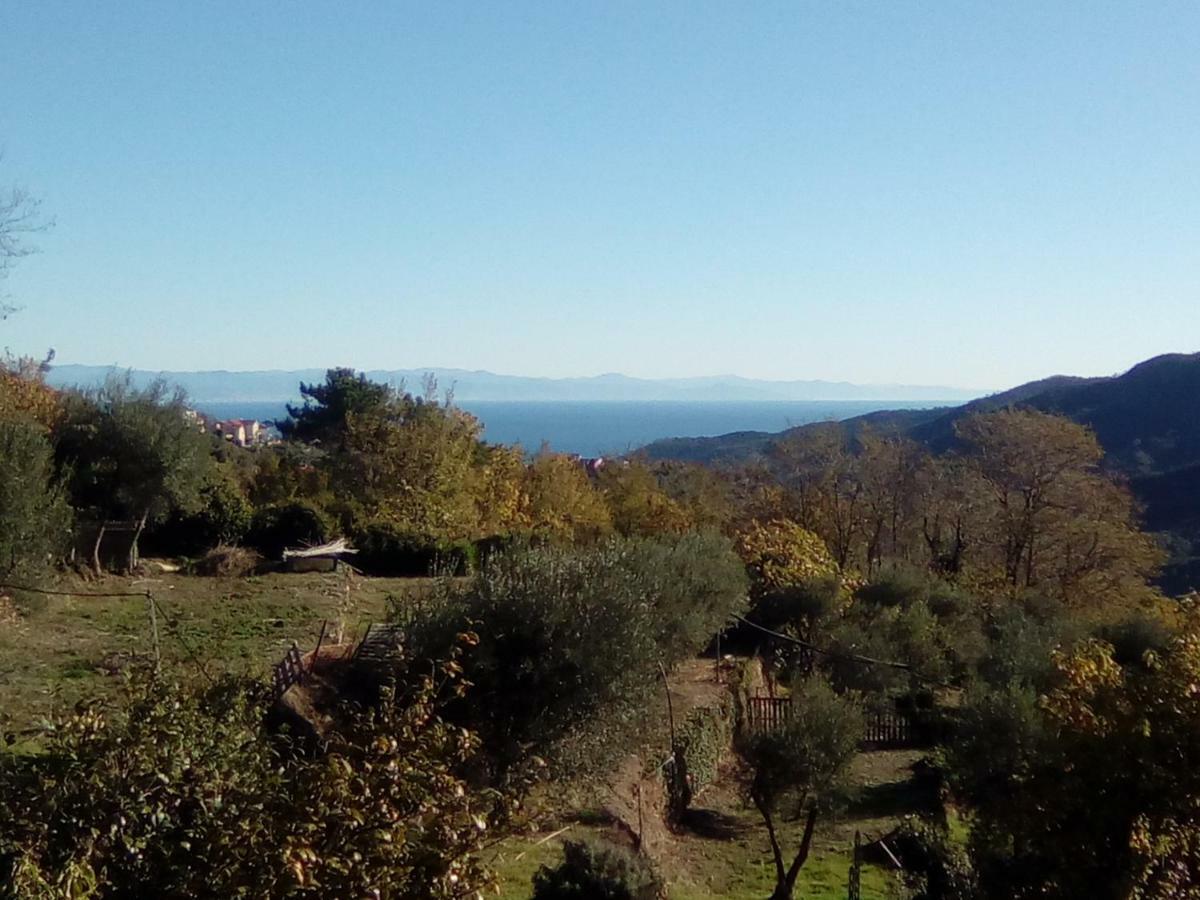 Contrada Casa Vacanze Leilighet Vado Ligure Eksteriør bilde